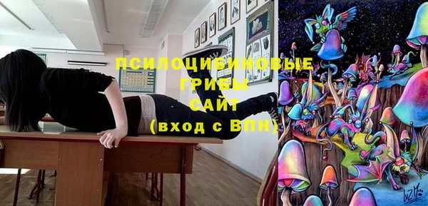 хмурый Алзамай