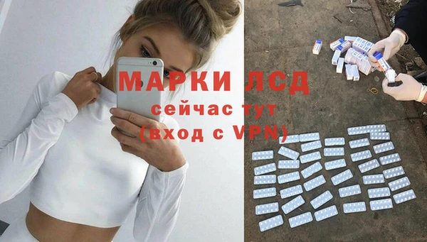 хмурый Алзамай