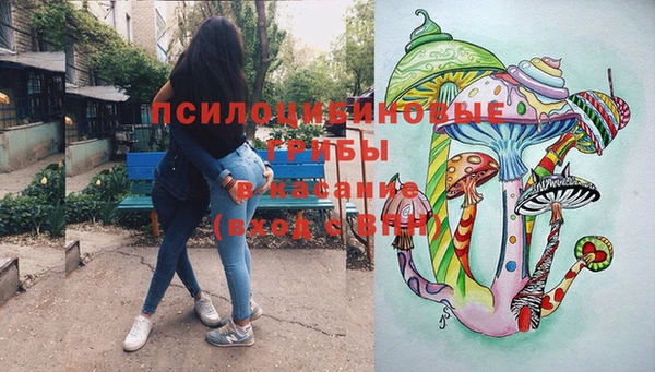 хмурый Алзамай