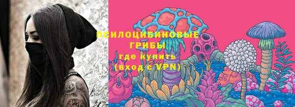 хмурый Алзамай