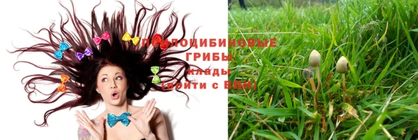 хмурый Алзамай