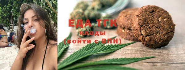 хмурый Алзамай