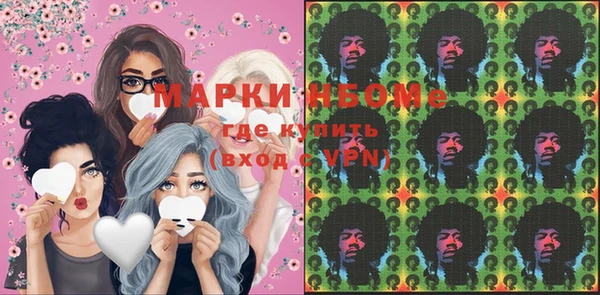 хмурый Алзамай